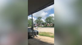 Pet dog hops on bus to take a ride in Thailand