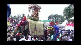 Stampede averted after elephant runs into crowd during religious procession