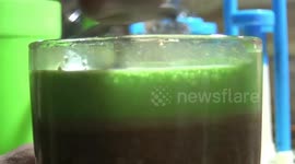 Street Drink : This delicious and sweet nutritious drink mixologist in Indonesia is an expert in using coconut leaf sticks as a tool to mix special drinks 'Teh Talua Pandan'