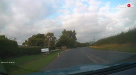 'When a European doesn't know which way to look while crossing a road in the UK '