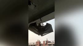 Birds use boy's underwear hanging on balcony as nest in eastern China