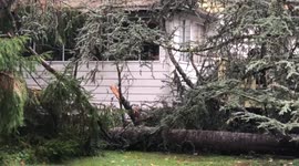 Cyclone bomb damages parts of British Columbia, Canada