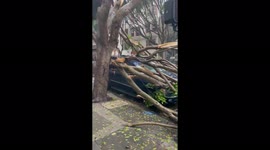 Record-breaking cyclone bomb strikes west coast and causes severe damage