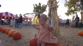 Happy baby on Pumpkins