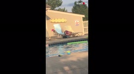 Overly inebriated lady falls headfirst by pool