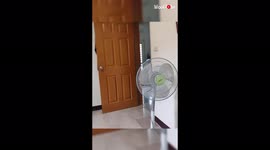 'Gripping footage shows aftermath of huge quake that shook Taiwan'