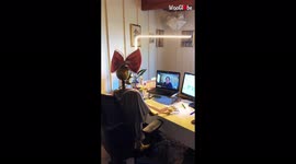 Woman plays Halloween prank on boss by having skeleton sit in her chair during video call