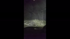 US: Nor’easter Rains And Strong Winds Blast Massachusetts 2