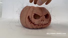 Bizarre and disturbing 'testicle' pumpkin is totally nuts Halloween choice