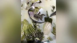 Diner horrified after finding dead toad floating in her dish at a Chinese restaurant