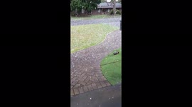 South Australia hammered with heavy hail storm