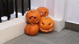 Pumpkins In Mayfair