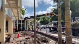 And you thought Paradise came naturally! Turns out it's all by design!!