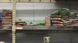 Lucky bird finds the mother-load!!! A smorgasbord In bird-feed heaven!!!