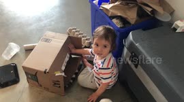 What's in the box, Baby toddler gets a surprise from his best friend Albus the Bengal cat