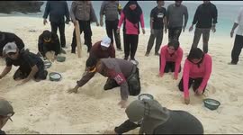 turtle egg hatchery