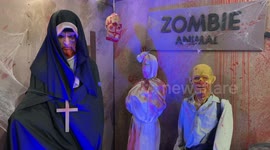 Scary exotic pets displayed for Halloween show in Thailand
