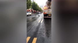 Cars forced to stop as naughty dogs chase street-cleaning vehicle