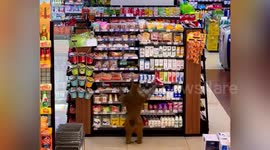 Onlookers stunned to see monkey 'shopping' for groceries in supermarket in southern China