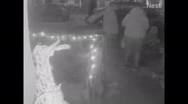 Halloween decorations get stolen outside Dublin home