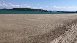 Pumice stones washed ashore from Japanese volcano
