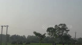 Herd of elephants enter tea estate in northeastern India