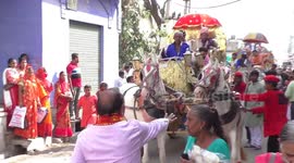 Pair of Horse angry during a religious procession in Rajasthan, India