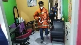 Rat snake entering a beauty salon and shocked makeup artist in Indonesia