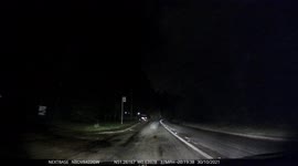 Man walking his dog whilst driving at the same time at night. Definitely a new one on me