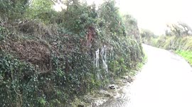 Cornwall floods: water comes through a wall