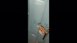 Poo alone or with friends, short funny story in a porta potty