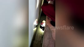 Baby girl rescued after falling down gap between platform and train in southern China