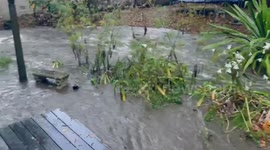 Flooded backyard after Bomb Cyclone hit Berkeley, US