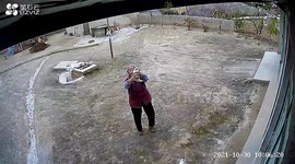 Heartwarming moment grandmother holds up newborn puppy to CCTV camera to show her grandson