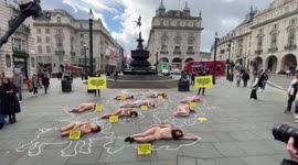Animal rights activists stage 'crime scene' protest in London's Piccadilly Circus