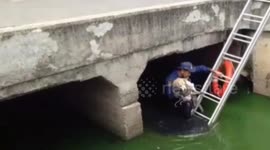 Firefighters rescue dog cowering under bridge after it fell into river in Jakarta