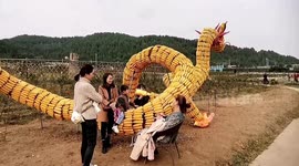 Farmers use 60,000 pieces of corn to form giant dragon to celebrate harvest in southern China
