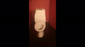 A Women is surprised when she walks into a toilet and sees a picture of Donald Trump