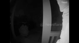 Nest Cam Strange Sound captured outside my front door on May 30, 2021 at 2:13AM
