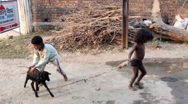 A cute girl loving with Got in Indian village