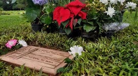 People visit F1 driver Ayrton Senna's grave on 'All Souls' Day in São Paulo, Brazil