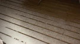 US: Upstate New York Receives Season’s First Lake Effect Snow 2