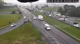 Playful parrot checks his reflection in traffic camera in Brazil