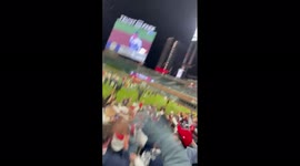 US: Fans Celebrate Atlanta Braves’ MLB World Series Win