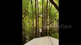 A boat trip through the flooded jungles of the Amazon, Brazil