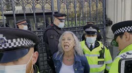 London: Arrests made at London Oct 30th Anti-Vax Pass March For Freedom