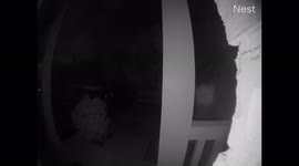 'Someone is out there': Unnerving and spooky large orb floats by Chicago family's Nest cam after strange noise and vibration wakes up house