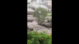 Man clinging onto tree amid flash flood is rescued by officials in Indonesia