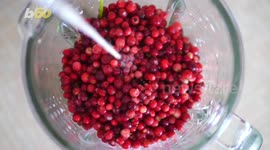 The history behind eating Cranberry sauce on Thanksgiving
