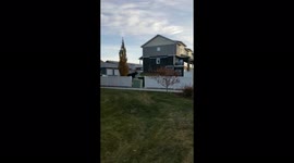Canada: Moose Spotted In Neighborhood In Saskatoon, Saskatchewan